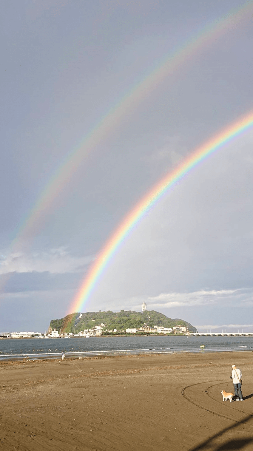 江の島ぎょうざ 湘南 江の島の手づくり変わり種餃子の店 江ノ島の店舗 冷凍餃子通販